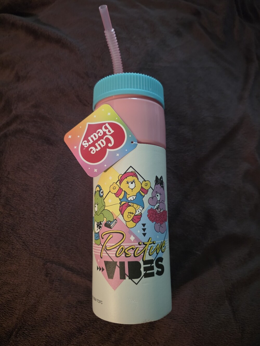 Care Bears Pink and Teal Character Sipper Bottle